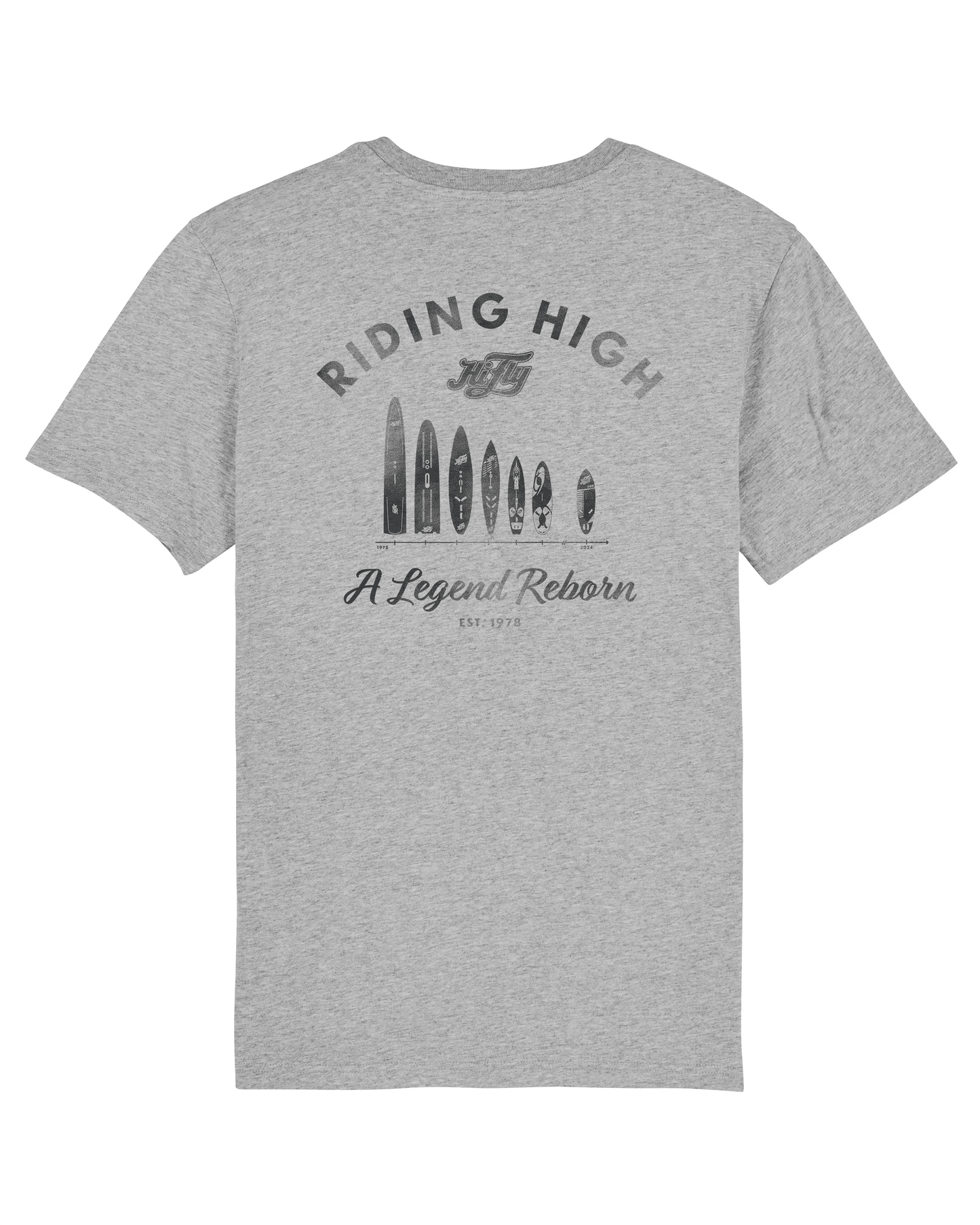 T-Shirt EVOLUTION in Hellgrau