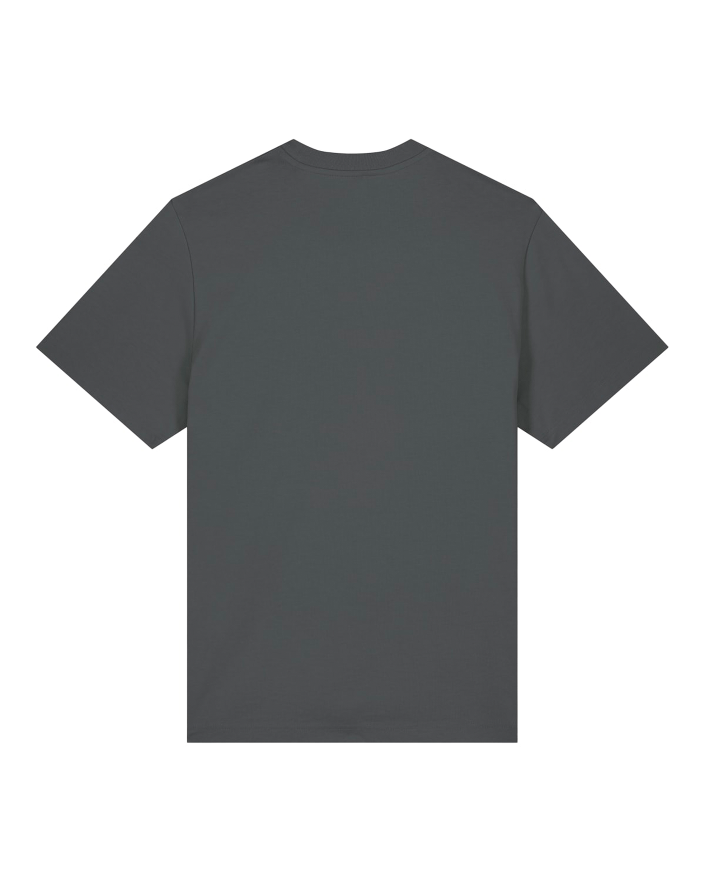 T-Shirt LOGO - Anthracite